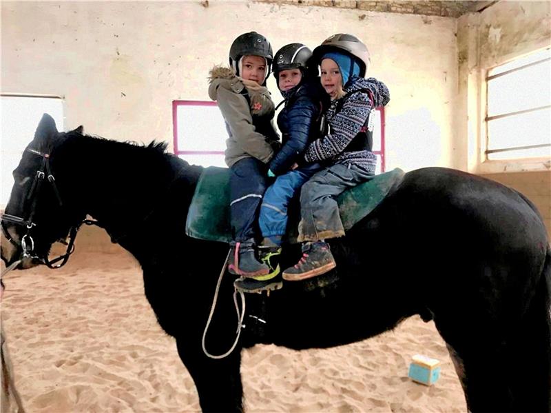 Glücksschweinchen: Mindestens 48.629,22 Euro durch Verkauf eingenommen Für die Kinder der Kita St. Salvatoris ist das Reiten auf dem Therapiepferd „Sir Henry“ fester Bestandteil des Alltags. Foto: Privat