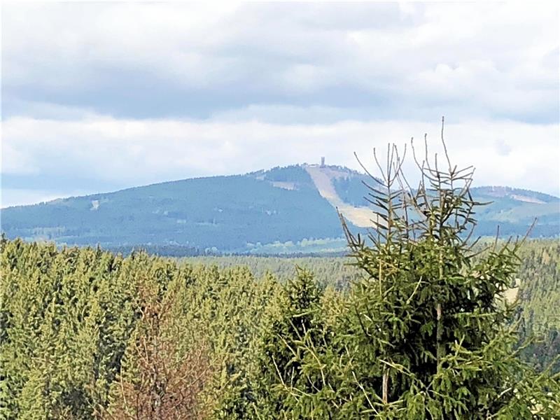 Für die Skiabfahrten mussten sechs Hektar Wald weichen. Jetzt werde eine Fläche von 80 Hektar Wald gefällt, damit der Borkenkäfer sich nicht weiter ausbreitet.  Foto: Eggers