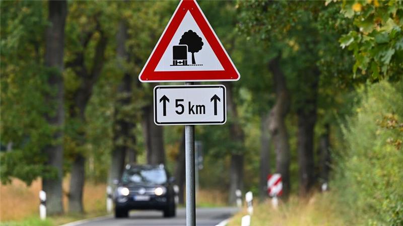 Experten sorgen sich um Deutschlands Alleen Für die Verkehrssicherheit müssen Alleen regelmäßig kontrolliert werden.