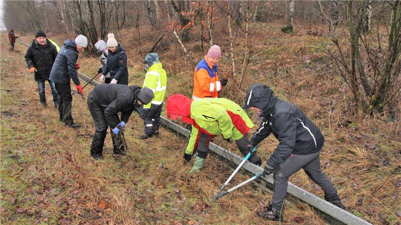 Gruppe von Menschen in Winterkleidung, die mit Werkzeugen am Boden in einem bewaldeten Gebiet arbeiten.