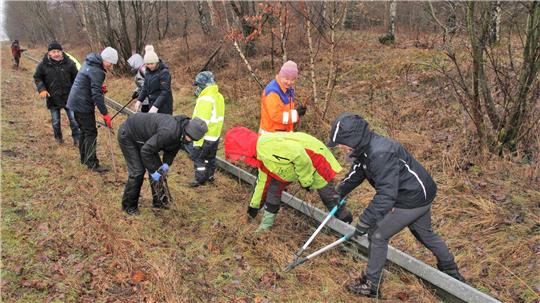 Gruppe von Menschen in Winterkleidung, die mit Werkzeugen am Boden in einem bewaldeten Gebiet arbeiten.