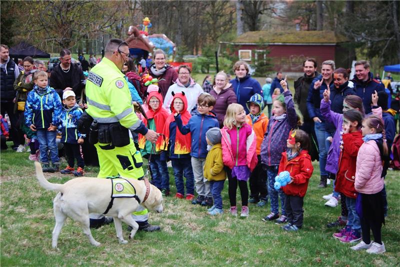 Für große Aufmerksamkeit sorgt die Vorführung der Harz-Rettungshunde-Staffel auf der Walpurgiswiese.