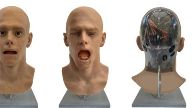 Gähnen ist ansteckend - selbst wenn ein Roboterkopf der Auslöser ist. (Handout)