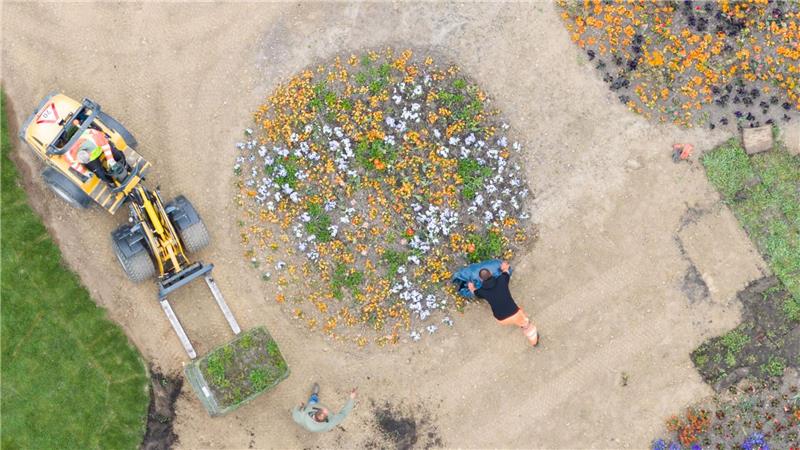 Gärtner pflanzen Blumen auf dem Gelände der Landesgartenschau 2026 in Bad Nenndorf.