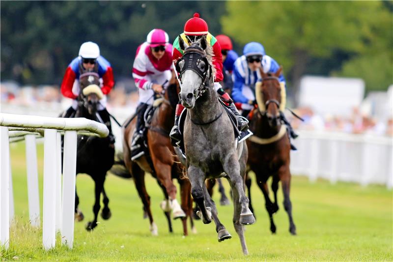 Super-Samstag und üppiger Jackpot locken nach Bündheim Galopprennsport ohne Pause: Am Samstag werden von 13.30 Uhr am Weißen Stein zehn Rennen gestartet. Foto: Epping