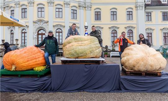Ganz schön dicke Dinger: Für Deutschland gingen diese drei Züchter beim Kürbis-Wettbewerb ins Rennen.