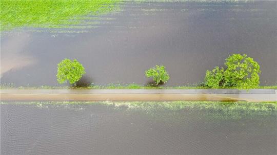 Ganze Wiesen und Felder sind nach den anhaltenden Regenfällen überschwemmt. Das hat auch Folgen für die Landwirtschaft.