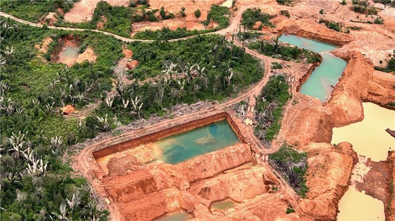 Was der Gold-Boom im Amazonas anrichtet Garimpeiros sind oft auch gefährlichen Arbeitsbedingungen ausgesetzt.