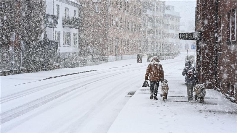 „Gassi gehen“ im Schnee: Hunde und ihre Besitzer sind in Leer unterwegs.