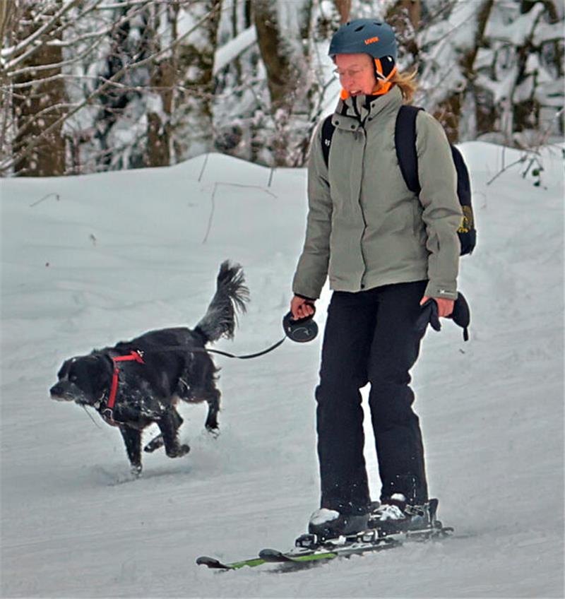 Person mit Helm und Rucksack fährt auf Skiern einen schneebedeckten Hang hinunter, an der Leine ein schwarzer Hund mit rotem Geschirr.