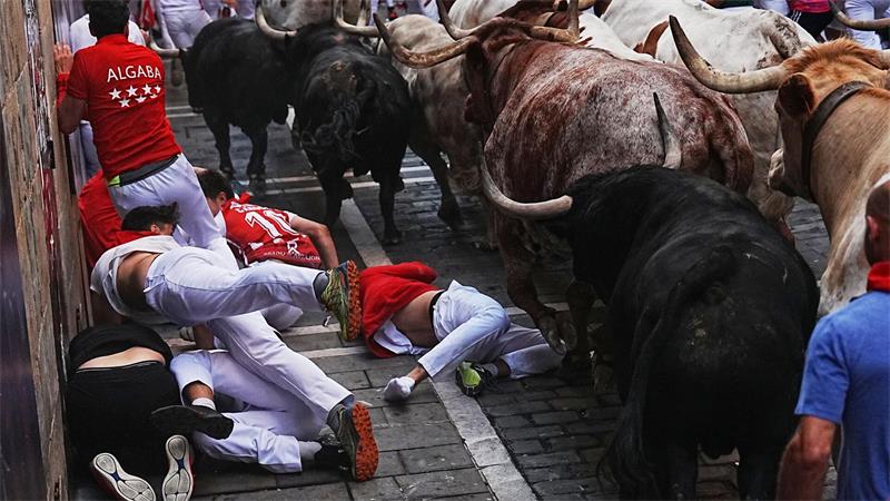 Fünf Verletzte bei umstrittener Stierhatz in Pamplona Gefährlich wird es immer, wenn es bei der wilden Hatz zu Stürzen kommt und die Stiere ungewollt auf am Boden liegende Menschen trampeln.