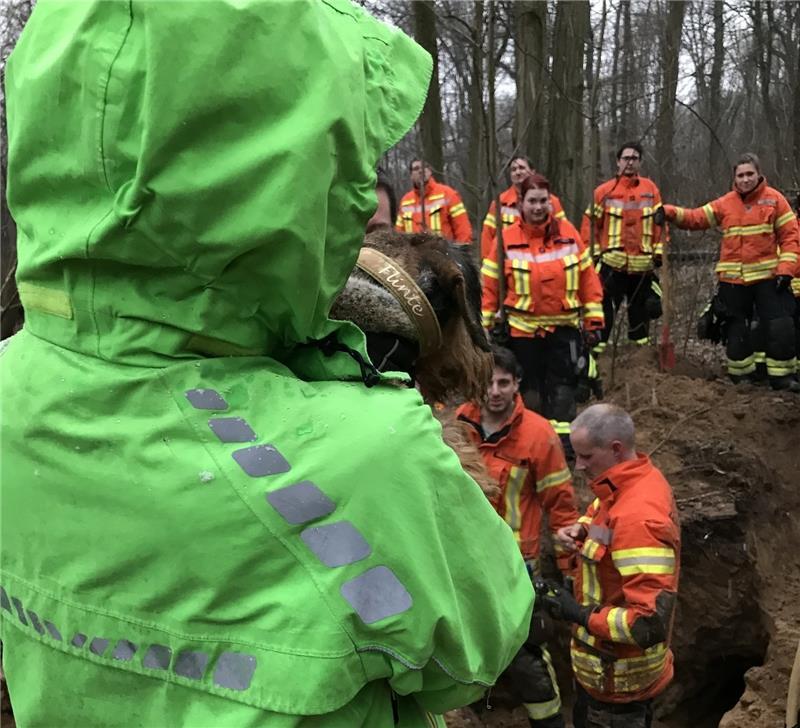 Gegen 15.30 Uhr konnte der Hund gerettet und seiner Besitzerin wieder übergeben werden. Foto: Feuerwehr Braunschweig