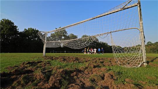 Gegen die Wildschweinplage im Goslarer Osterfeldstadion wird nun sogenanntes Vergrämungsmittel eingesetzt. Das stinkt, soll aber helfen. Foto: Epping