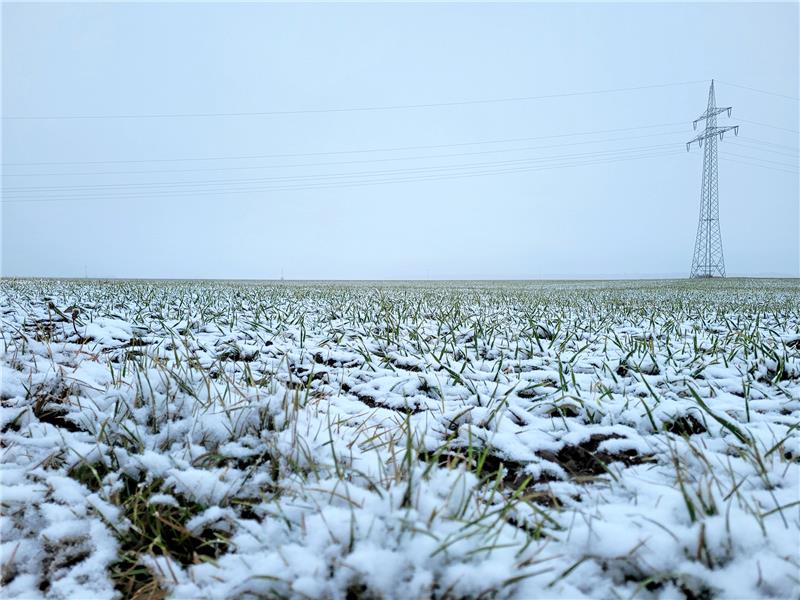 Grüner Wasserstoff: Landwirte planen Pilotprojekt Geht es nach den Eigentümern, sollen auf ihren Flächen nordwestlich des Gewerbegebiets Harlingerode eines Tages Windräder und Photovoltaik-Module entstehen. Foto: Exner