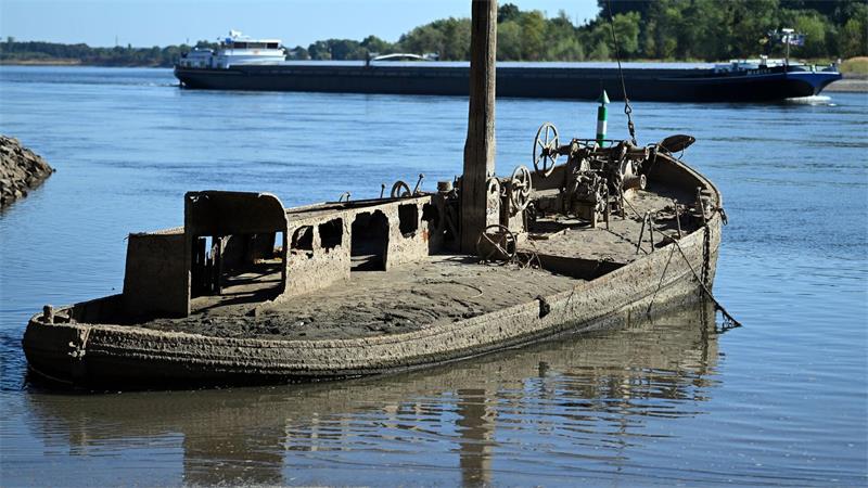 Geisterschiff im Rhein - Niedrigwasser