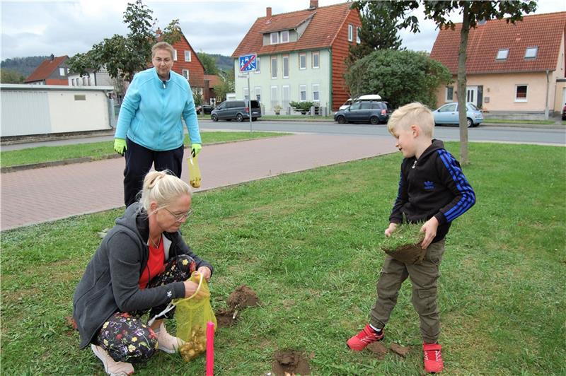 2000 Zwiebeln für mehr Blütenpracht Gemeinsam mit Sohn Soa hilft Mandy Zschiedrich bei der Pflanzaktion am Braakfeld. Im Hintergrund freut sich Bärbel Borchers über die Hilfe. Foto: Heinichen
