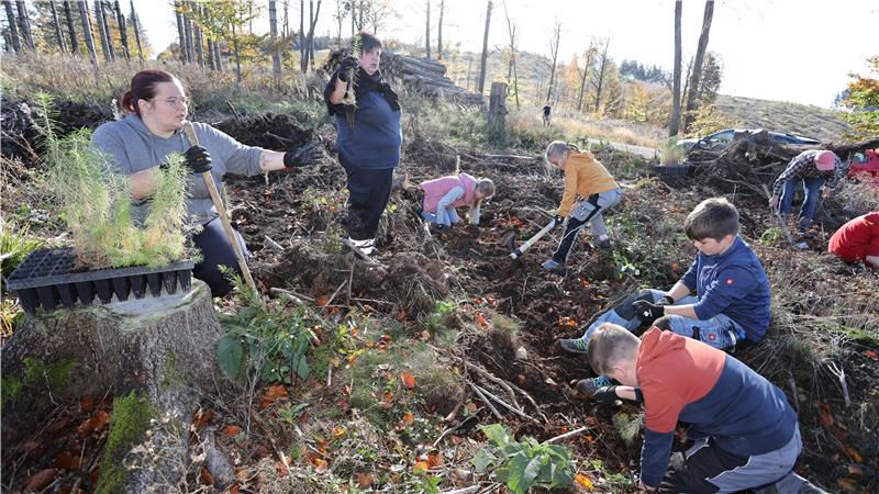 Pflanzaktion im Harz zum Langelsheimer Feuerwehr-Jubiläum Gemeinsam zum Jubiläum 150 Jahre Feuerwehr den Harzwald wiederaufforsten: Die Jugendlichen bringen mit ihren Betreuern auf der Kahlfläche Hunderte Lärchen in die Erde.