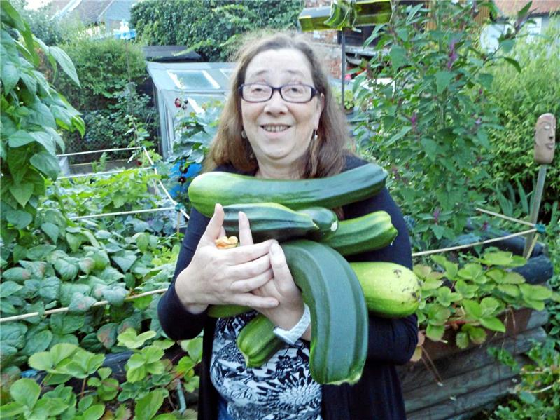 Genau 6,2 Kilogramm wiegen diese Zucchini, die ich nach nur vier Tagen Abwesenheit und deshalb fehlender Kontrolle von meinem Hochbeet erntete. Was tun, damit sie nicht verderben?  Foto: Borchers
