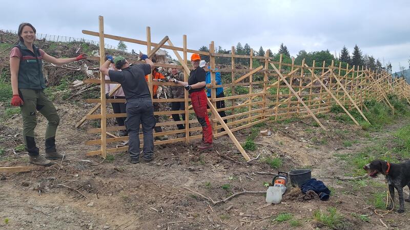 Goslarer Stadtforst entwickelt alternative Baumpflanz-Ideen Geocacher errichten einen Schutzzaun für den Mach-mit-Wald.