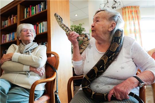 Gerda Hachmann (95) streichelt die um ihre Schultern gelegte Boa Constrictor Lilly im Seniorenzentrum Barsbüttel.
