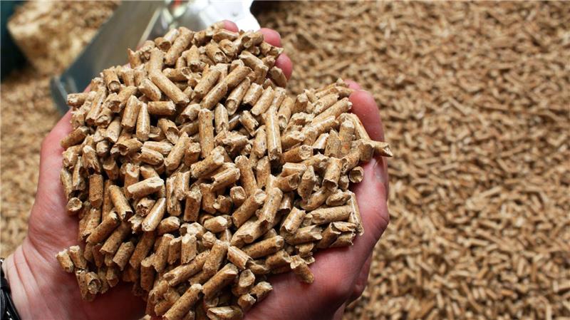 German Pellets war nach eigenen Angaben einst Weltmarktführer bei Herstellung und Vertrieb von Holzpellets für Heizungen.