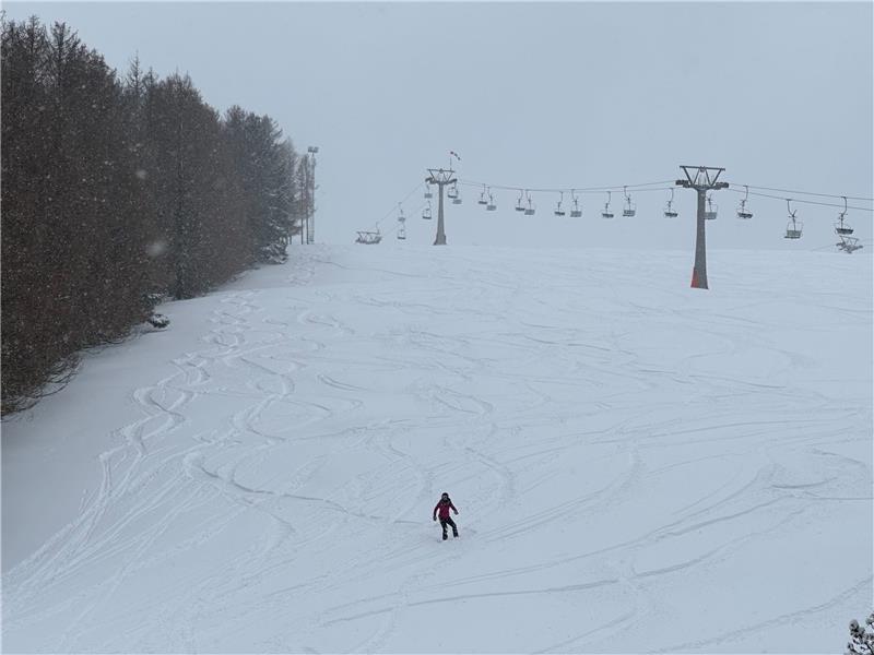 Braunlager wollen bis Ostern Skifahren anbieten Gestern Vormittag dreht diese Snowboardfahrerin allein an diesem Hang am Matthias-Schmidt-Berg ihre Runden. Foto: Eggers