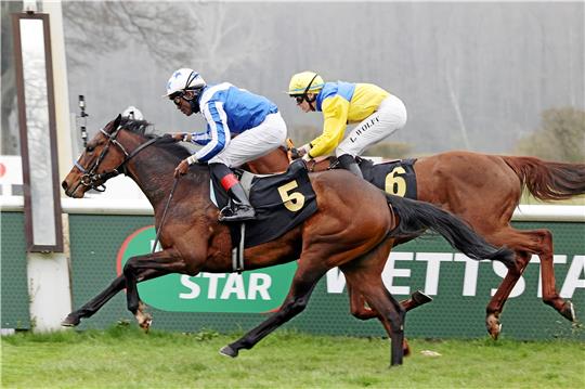 Gestüt Harzburgs Stute We love Harzburg (hinten unter Leon Wolff) unterliegt View Zabeel (Eduardo Pedroza) bei ihrem Debüt in Hoppegarten nur knapp.  Foto: Sorge