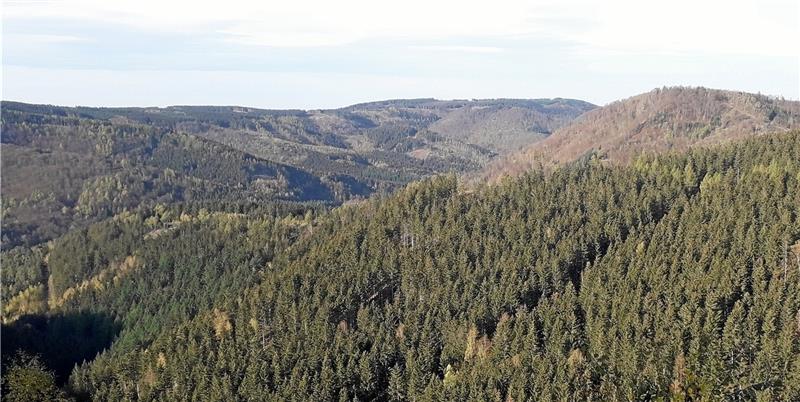„Wir brauchen wegen des Klimawandels vor allem Verzicht“ Gesunder Wald in verschiedenen Grün- und Brauntönen findet sich derzeit noch zwischen Lautenthal und Wolfshagen. Foto: Jambrek