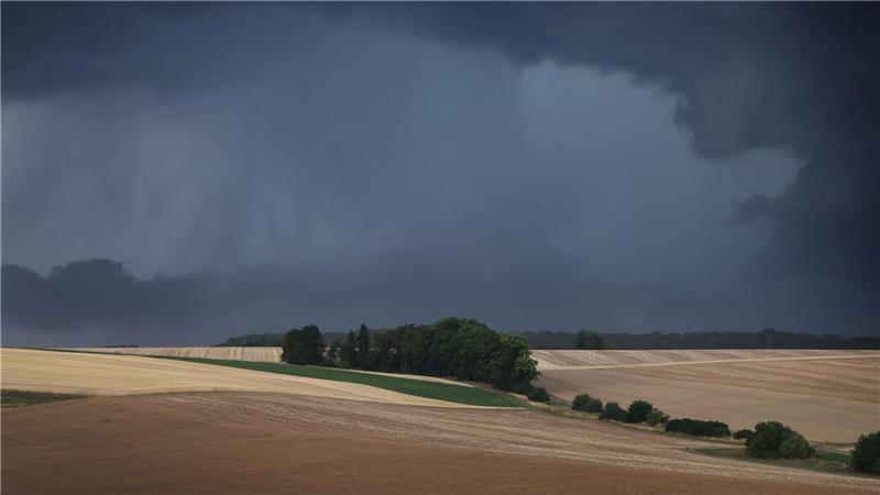 Bis zu 120 Liter Regen: Unwetter in Alpennähe erwartet Gewitter und Regen werden vor allem im Süden und Osten Deutschlands erwartet. (Symbolbild)