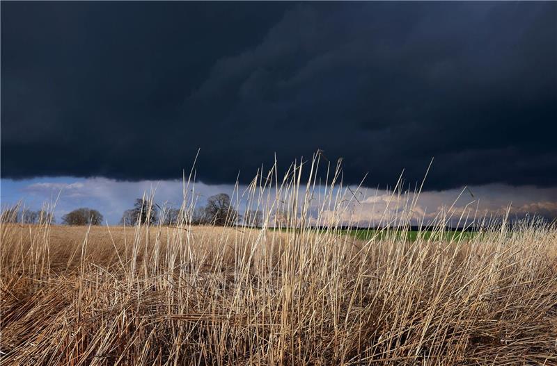 Sturmböen und Gewitter: Bahnverkehr eingeschränkt Gewitterwolken ziehen über ein Feld: Das Wetter am Abend ist durchwachsen.