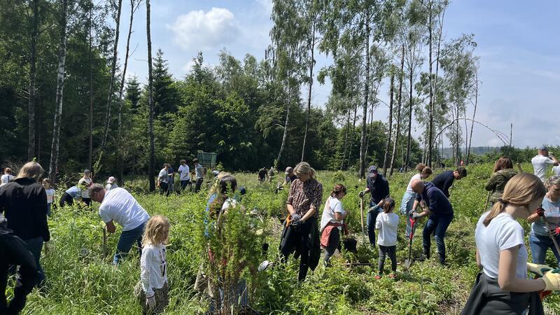 Gewusele am Fuße des Wurmbergs: Die Lions-Mitglieder aus Hannover haben ihre Familien mitgebracht und pflanzen gemeinsam mit dem Verein Braunlager Bäume die 500 Lärchen ein.
