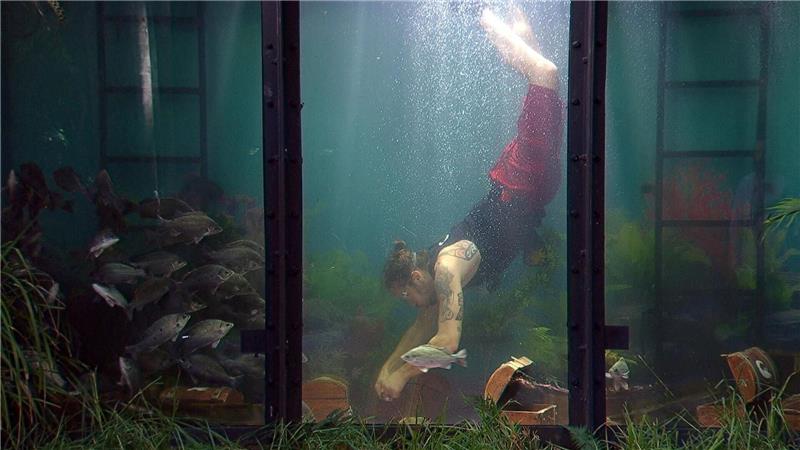 Gil Ofarim tauchte bei der Dschungelprüfung ab. 