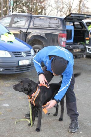 Langelsheim: Rettungshundesport ist der neue Trend Gleich geht es los: Christian Meyer legt seinem Labrador Balu das Geschirr an.
