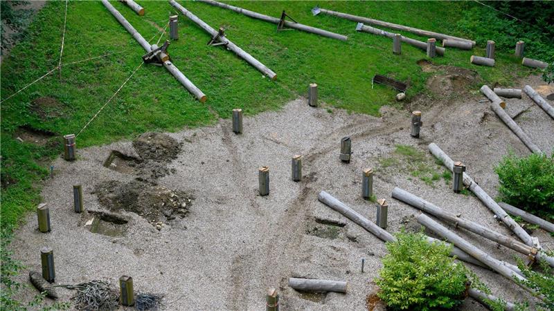 Gleich neben dem Baumwipfelpfad in Bad Harzburg soll auf der Fläche des ehemaligen Hochseilgartens in luftiger Höhe die sogenannte Wipfel-Erlebnis-Welt mit Freifalltürmen entstehen.