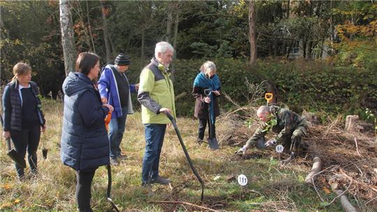 Gleich vier Pflanzaktionen gibt es in diesem Monat, bei denen die Teilnehmer den Titel „Waldmeister“ verliehen bekommen können.