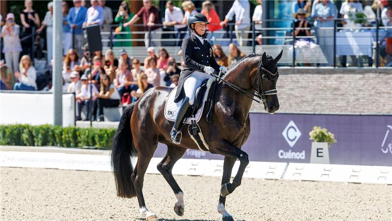 Werth scheitert bei Dressur-EM erneut am 10. Einzel-Gold Gold verpasst: Isabell Werth musste sich mit Bronze begnügen.