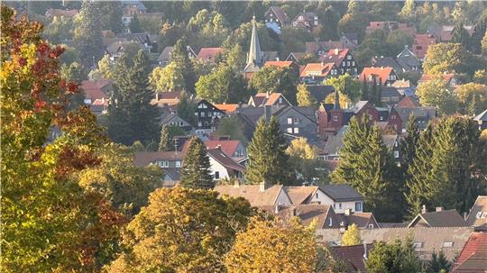 Goldener Herbst: Braunlage zeigt sich derzeit den Gästen von seiner schönsten Seite.