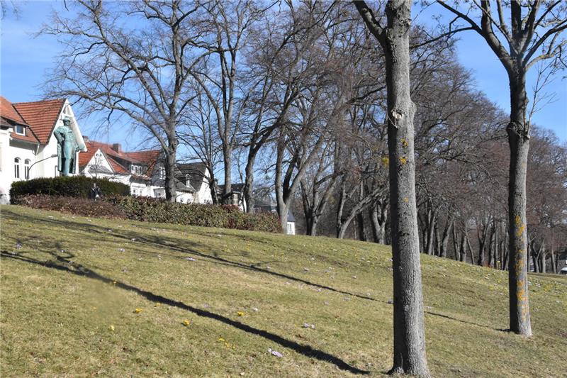 Goslars Altstadt erblickt die ersten Sonnenstrahlen