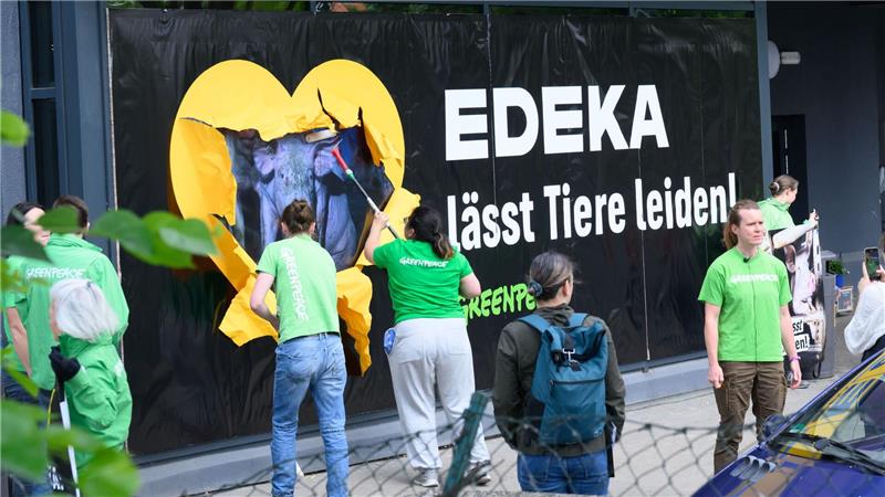 Greenpeace-Aktivisten kleben Protestplakate gegen Tierleid an die Scheiben eines Edeka-Markts.