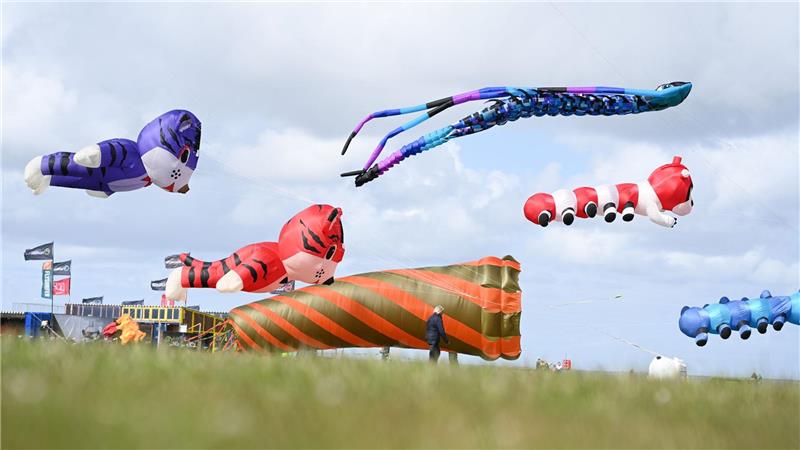 Großdrachen sorgen für ein farbenfrohes Spektakel. 