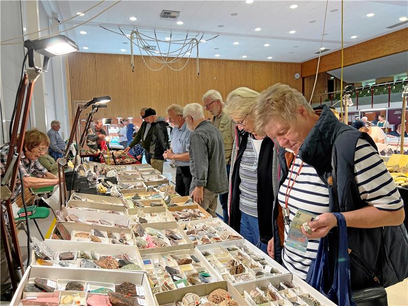 Mineralien- und Fossilienfans treffen sich im Oberharz Große Auswahl: Insgesamt 27 Aussteller beteiligen sich am Wochenende in der Stadthalle an der Mineralien- und Fossilienbörse. Veranstaltet wird die Börse vom Montangeologischen Verein Harz. Foto: Kammer