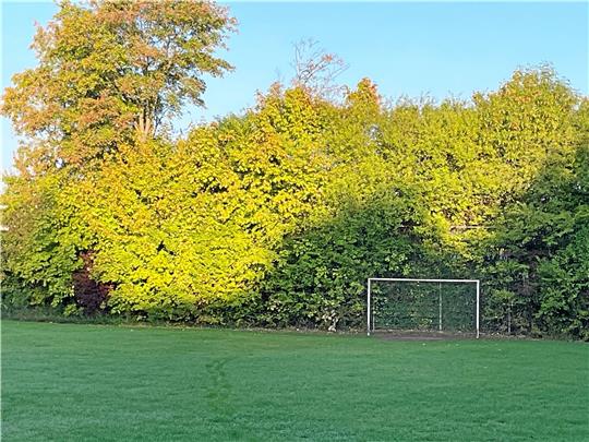 Große Pläne für Goslars größten Stadtteil: Aus dem alten Bolzplatz soll ein moderner Jugendplatz werden, den alle Generationen nutzen können. Foto: Heine