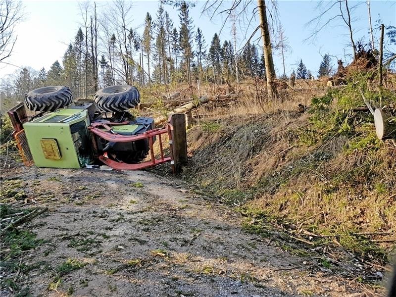 Großer Knollen, Forstmaschine, Umgestürzt, bei Sieber
