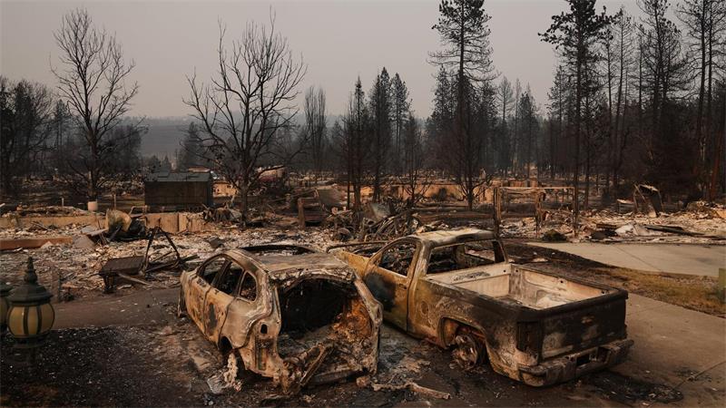 Waldbrände quälen Griechenland, USA und Niederlande Großflächige Zerstörung durch Feuer gibt es im US-Bundesstaat Washington.