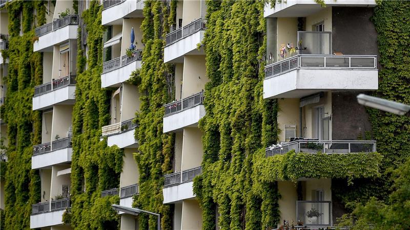 Städte im Hitze-Check: Heißes Mannheim, kühles Hattingen Grünpflanzen schaffen Verdunstungskühle - auch wilder Wein wie hier an einer Fassade in Berlin.