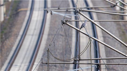 Grund für die Evakuierung war nach Angaben des Unternehmens eine heruntergerissene Oberleitung bei Emmerke im Landkreis Hildesheim. (Symbolbild)