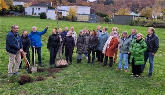 Gut 20 Personen sind dabei, als am Mittwoch der erste von 20 Bäumen in die Erde gesetzt wird.