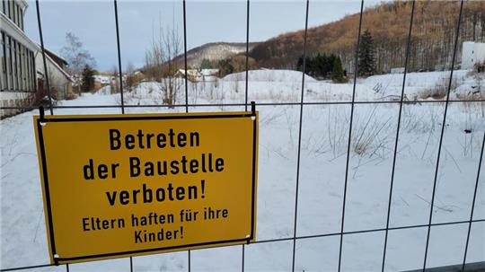 Gut fünf Jahre lang hat sich auf der Waldhöhe an der Bad Harzburger Stübchentalstraße kaum etwas getan. Mittlerweile wachsen dort schon wieder die ersten Bäume, die Natur holt sich die durchgrabene Fläche zurück.