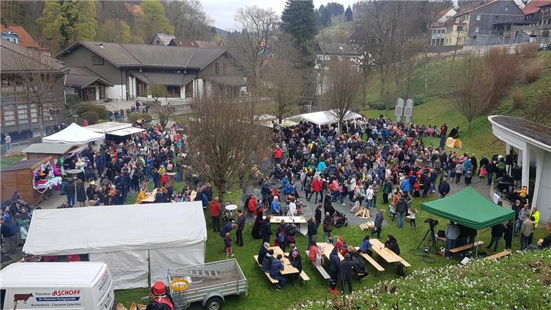 Hexen im Harz: Zehntausende feiern wieder Walpurgis Gut gefüllt ist der Kurpark in Altenau schon um kurz nach 17 Uhr bei der ersten Walpurgisfeier seit drei Jahren. Foto: Römhild