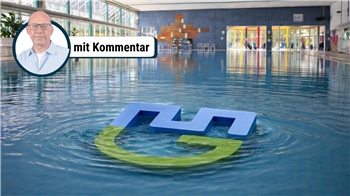 Hätte man das Geld, das für das Logo ausgegeben wurde, lieber ins Silberbornbad stecken sollen? Und geht das Logo baden? Diese beiden Fragen sind auf dem KI-generierten Bild symbolhaft dargestellt.
